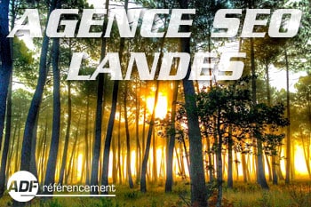 agence de referencement landes