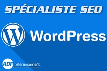 agence seo wordpress bordeaux