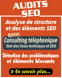 audit seo