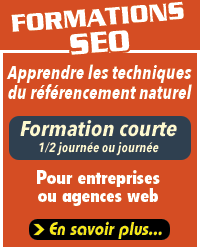 formation seo